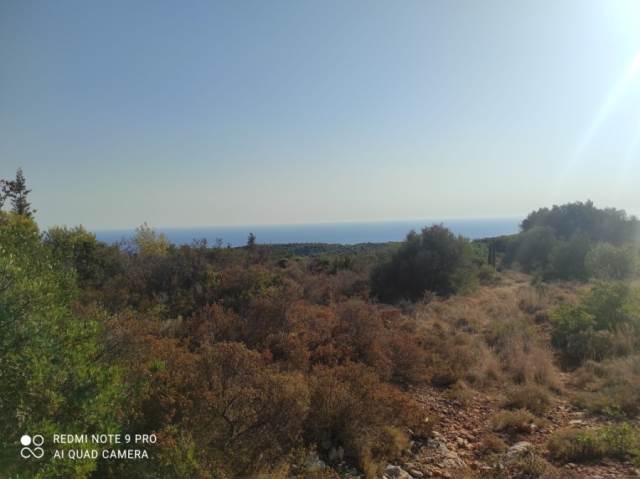 (For Sale) Land Agricultural Land  || Zakynthos (Zante)/Artemisio - 30.000 Sq.m, 350.000€ 