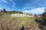 slide1 thumbnail