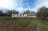 slide1 thumbnail