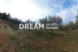 slide1 thumbnail