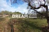 slide1 thumbnail