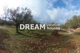 slide1 thumbnail
