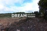 slide1 thumbnail