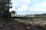 slide1 thumbnail