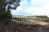 slide1 thumbnail