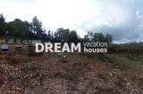 slide1 thumbnail