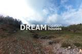 slide1 thumbnail