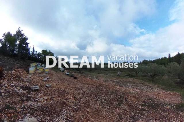 (En vente) Valorisation de la Terre Lopin de terre || Zakynthos (Zante)/Artemisio - 5.000 M2, 80.000€ 