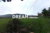 slide1 thumbnail