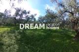 slide1 thumbnail