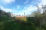 slide1 thumbnail