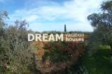 slide1 thumbnail