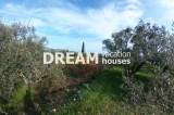 slide1 thumbnail