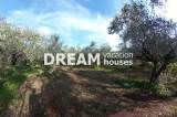 slide1 thumbnail