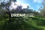 slide1 thumbnail