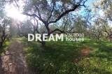 slide1 thumbnail