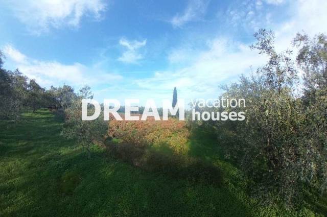 (For Sale) Land Agricultural Land  || Zakynthos (Zante)/Artemisio - 16.000 Sq.m, 400.000€ 