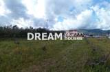 slide1 thumbnail