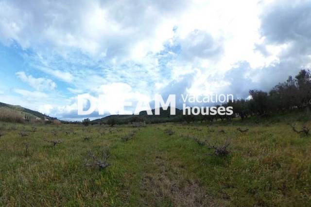 (For Sale) Land Plot || Zakynthos (Zante)/Alikes - 3.945 Sq.m, 150.000€ 