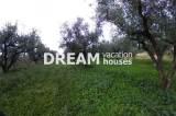 slide1 thumbnail