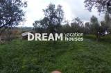 slide1 thumbnail