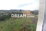 slide1 thumbnail