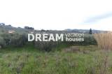 slide1 thumbnail