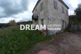 slide1 thumbnail