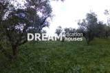 slide1 thumbnail