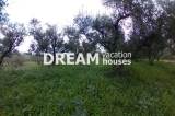 slide1 thumbnail