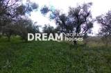 slide1 thumbnail