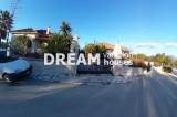 slide1 thumbnail