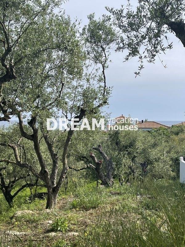 Αξιοποιήσιμη Γη Οικόπεδο | Ν. Ζακύνθου/Ψαρού - 2.800 τ.μ, 180.000€ 