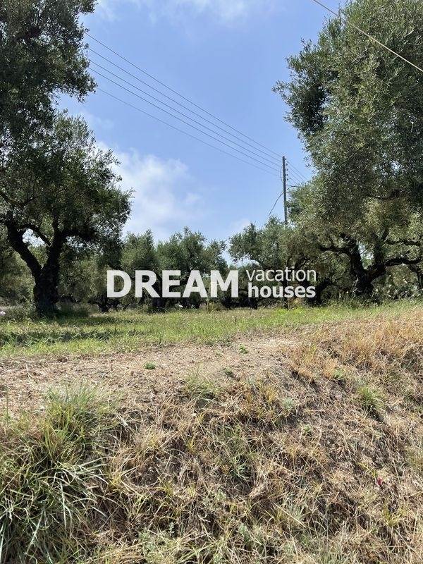 Αξιοποιήσιμη Γη Οικόπεδο | Ν. Ζακύνθου/Καλαμάκι - 1.998 τ.μ, 200.000€ 