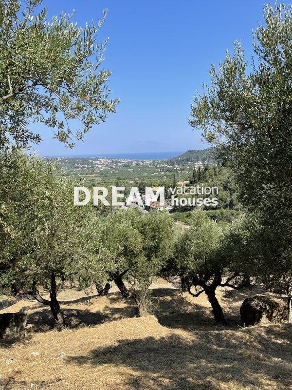(En vente) Valorisation de la Terre Terrain || Zakynthos (Zante)/Zante Chora - 12.161 M2, 300.000€ 