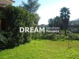 slide1 thumbnail
