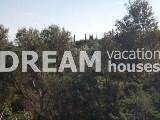 slide1 thumbnail