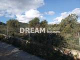 slide1 thumbnail