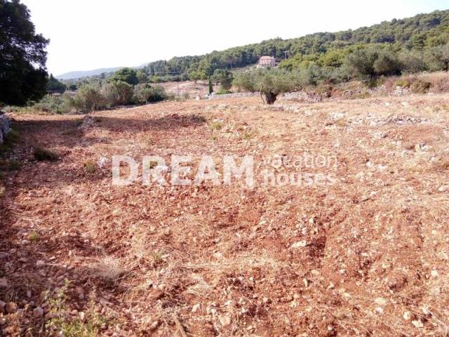 (For Sale) Land Plot || Zakynthos (Zante)/Artemisio - 5.481 Sq.m, 120.000€ 