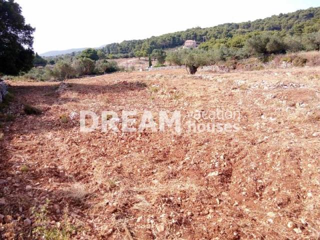 (En vente) Valorisation de la Terre Terrain || Zakynthos (Zante)/Artemisio - 5.481 M2, 100.000€ 