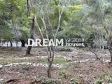 slide1 thumbnail