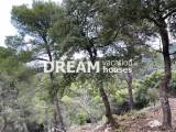 slide1 thumbnail