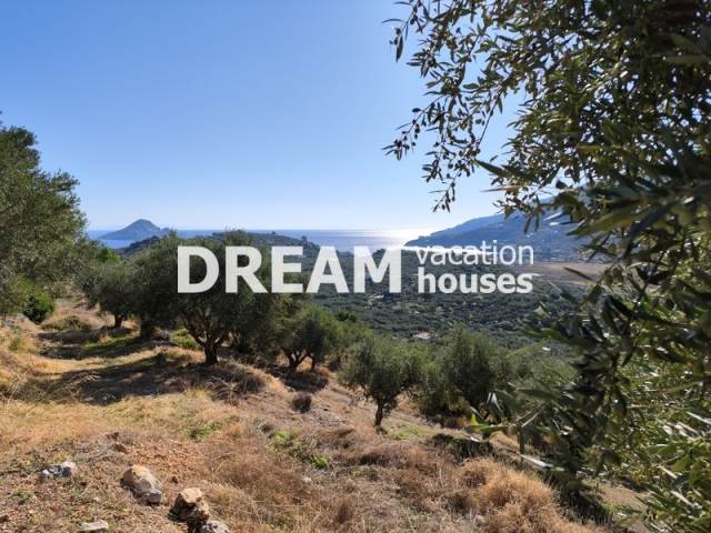 (For Sale) Land Agricultural Land  || Zakynthos (Zante)/Laganas - 14.812 Sq.m, 550.000€ 