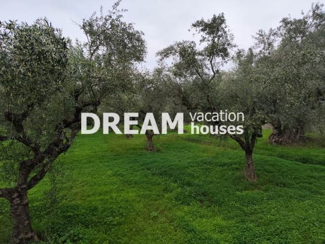 (For Sale) Land Plot || Zakynthos (Zante)/Alikes - 4.622 Sq.m, 190.000€ 