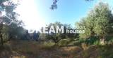 slide1 thumbnail