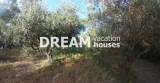 slide1 thumbnail