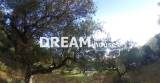 slide1 thumbnail