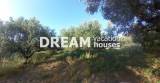 slide1 thumbnail