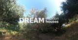 slide1 thumbnail