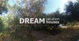 slide1 thumbnail
